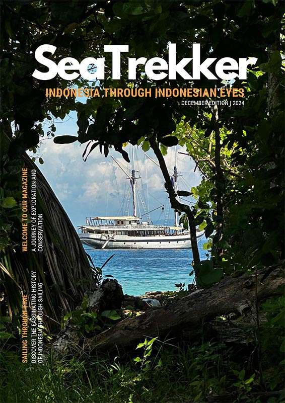 SeaTrekker December 2024