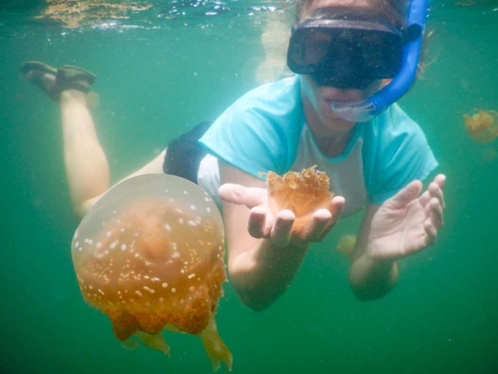 a girl snorkeling and swimming with jellyfish in the lake