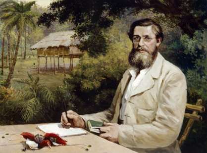 Alfred Russel Wallace paintings by Evstafieff