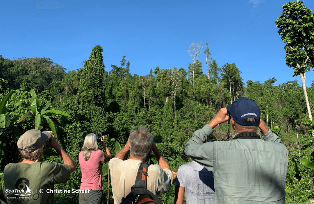 a group of guests doing birdwatching in raja ampat