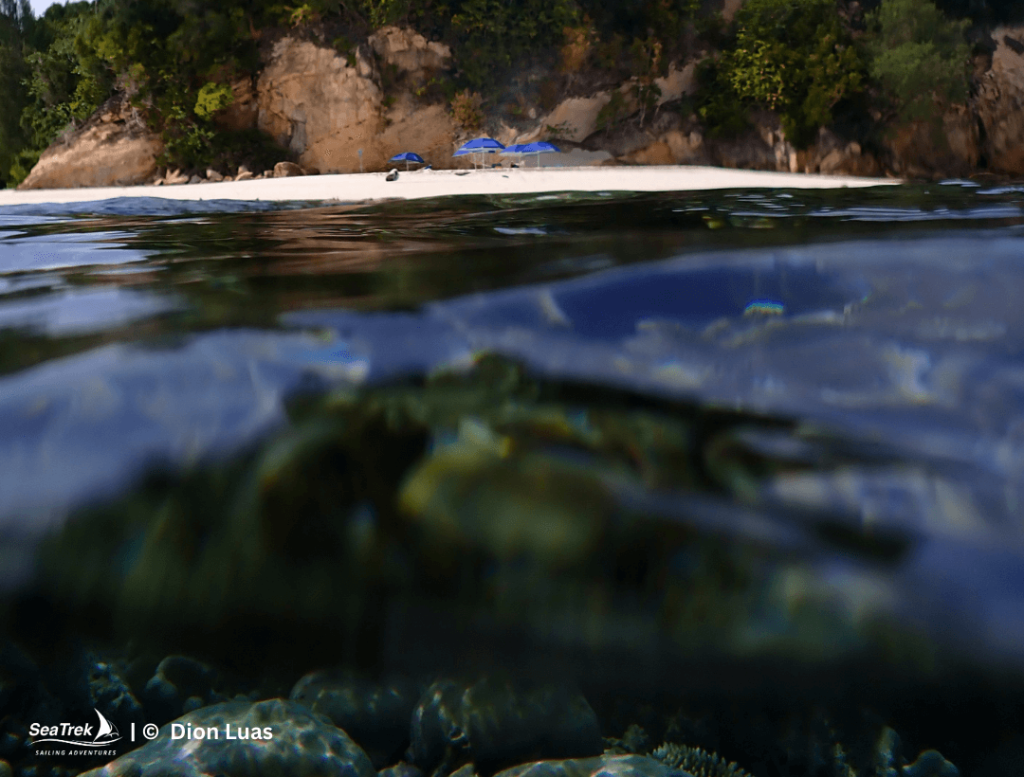 snorkeling raja ampat at Hiriuli