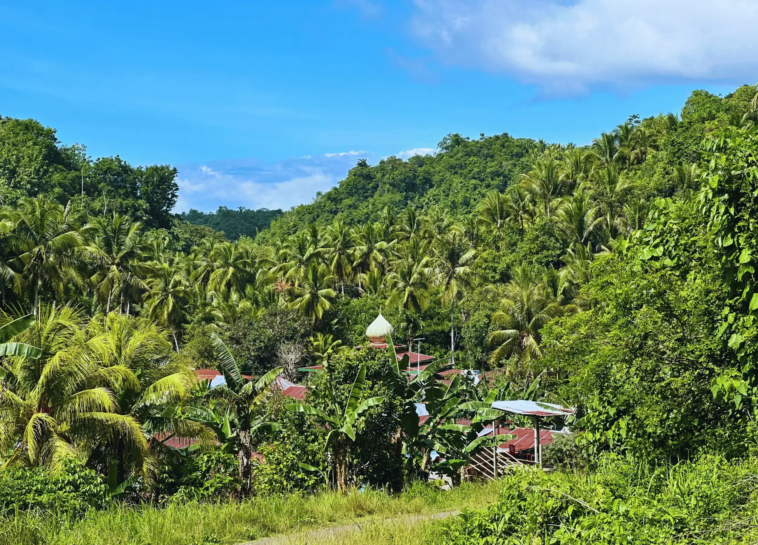Dodinga landscape