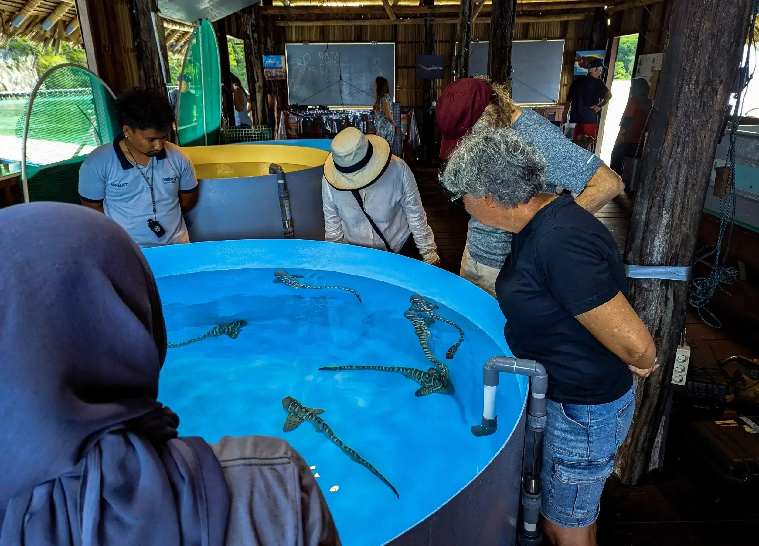 SeaTrek guest visiting Zebra Shark Hatchery in Raja Ampat